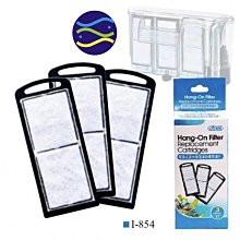 《世界通史》彩圖版 國際漢宇 尤義賓 主編 無劃記 K58 歷史價格詳細信息