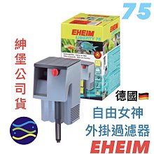 自由女神外掛過濾150G 特價品 歷史價格詳細信息