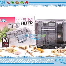 【魚店亂亂賣】世界NO.1磁化銀離子能量濾球400G(小顆)2x1.2cm活性過濾濾材(散裝)外掛.上部洋達行㊣ 歷史價格詳細信息