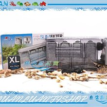 【魚店亂亂賣】世界NO.1磁化銀離子能量濾球400G(小顆)2x1.2cm活性過濾濾材(散裝)外掛.上部洋達行㊣ 歷史價格詳細信息