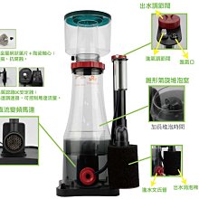 【~魚店亂亂賣~】M-65台灣 Mr.Aqua水族先生USA水質淨水硝化菌/硝化活菌300cc活性細菌 歷史價格詳細信息