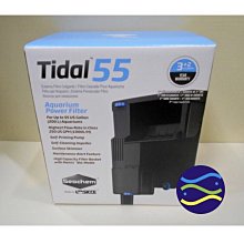 西肯Seachem【Tidal 110】400L 多功能外掛過濾器 歷史價格詳細信息