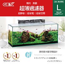 【透明度】GEX 五味 即效性高級活性炭 40gX2入【一包】強力快速吸附 吸收異味 改善水色 吸附性 濾材 歷史價格詳細信息