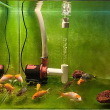 【熱賣精選】魚缸吸盤卡扣真空專用固定器支架水族潛水燈卡管配件 T*七月新品 歷史價格詳細信息