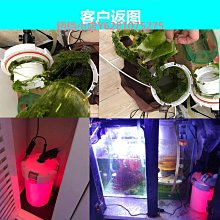 魚缸過濾器生態凈水系統上置過濾器滴流盒魚池水循環系統過濾箱 歷史價格詳細信息