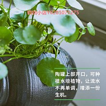 可種植水生植物過濾盒 魚缸過濾器魚缸裝飾造景魚缸上置過濾器USB水泵三合一過濾盒淨水外置靜音壁掛式過濾盒 歷史價格詳細信息