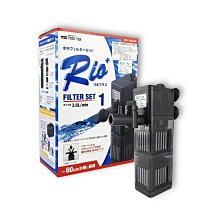 【Rio】水草系列_ESSENTIAL TWEEZERS 高級不鏽鋼水草夾-直式(水草缸專用夾子) 歷史價格詳細信息