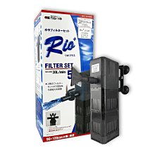 【Rio】水草系列_ESSENTIAL TWEEZERS 高級不鏽鋼水草夾-直式(水草缸專用夾子) 歷史價格詳細信息