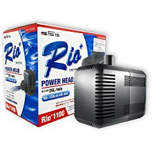 【Rio】水草系列_ESSENTIAL TWEEZERS 高級不鏽鋼水草夾-直式(水草缸專用夾子) 歷史價格詳細信息