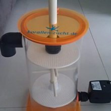 實體店面 免運可選牌套 從前從前的 3個新擴充 動物王國 精靈幻境 騎士精神 繁中文正版桌遊 歷史價格詳細信息