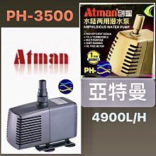 ［特性水馬！滿千免運費！］寶可夢卡牌  PTCG TCG 中文 水馬！AS6b 059/194 凱路迪歐GX RR 歷史價格詳細信息