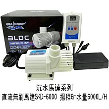 =海線批發=18650 16340 CR123鋰電池 收納盒 電池保存盒 電池保護盒 外出攜帶方便 防止碰撞ㄚ絲 歷史價格詳細信息