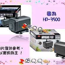 [B.Q.Q小舖](免運)台灣MR.AQUA-水族先生【變頻可調速馬達BP-6000】 歷史價格詳細信息