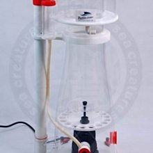 ♋ 秘境水族 ♋ 【Bubble King 德國BK紅龍】SuperMarin系列300內置蛋白分離機(RD3變頻馬達) 歷史價格詳細信息