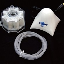 小郭水族-高夠力Hikari【SAKI-頂級金魚 揚色飼料 1Kg】增艷飼料 金魚飼料 蘭壽 泰獅 土佐金 歷史價格詳細信息