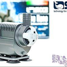 蝦兵蟹將【義大利-HAGEN-赫根】富濾霸-FLUVAL【節能淡海水兩用馬達】SP6【13000L】沉水馬達 沉馬 歷史價格詳細信息