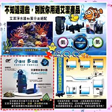 [B.Q.Q小舖]限量清倉~台灣SUNPOLE-崧騰【二代DC變頻水陸兩用沉水馬達VSR-9000】如左圖-紅 歷史價格詳細信息