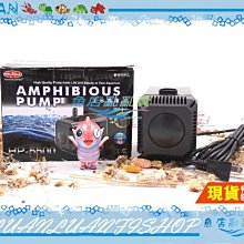 【魚店亂亂賣】水族先生全方位淨水硝化菌+全效水質穩定液魚體保護膜500ml(2種各1瓶組合)台灣製Mr.Aqua 歷史價格詳細信息