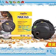 【~魚店亂亂賣~】義大利原裝EDEN伊登328內置過濾器 (出水自動旋轉.過濾效果一級棒) 歷史價格詳細信息