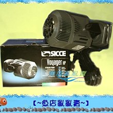 【~魚店亂亂賣~】義大利原裝EDEN伊登328內置過濾器 (出水自動旋轉.過濾效果一級棒) 歷史價格詳細信息