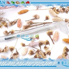 亂賣.大出清.仿古實木藝術紅木花架/置物架/收納架/電話架/書報架/展示架二尺 歷史價格詳細信息