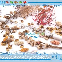 抑菌水槽水道管清淨錠 20g 現貨 廠商直送 歷史價格詳細信息