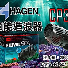 ????CP3保羅Chris Paul短袖棉T恤上衣????NBA太陽隊Adidas愛迪達運動籃球衣服T-shirt男喬丹554 歷史價格詳細信息