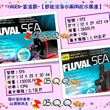 QQ意大利品牌 DIADORA（迪亞多納）男款沙灘鞋 歷史價格詳細信息