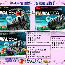 QQ意大利品牌 DIADORA（迪亞多納）男款沙灘鞋 歷史價格詳細信息