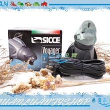 義大利製造 1/43 藍吉雅 Lancia Beta Monte Carlo 歷史價格詳細信息