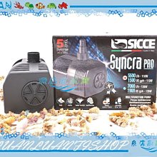 意大利-兩西西裡王國120G大銀幣NGC！15487 歷史價格詳細信息