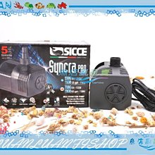 意大利-兩西西裡王國120G大銀幣NGC！15487 歷史價格詳細信息