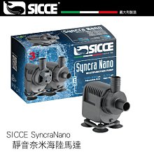 免運~音海成人琵琶 琵琶樂器初級入門 兒童琵琶琴 楊木初學者琵琶-盛唐名家 歷史價格詳細信息