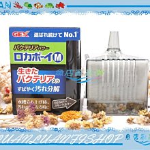 M豆水鑽髮圈女2023年新款髮飾頭飾扎頭髮橡皮筋簡約髮圈馬尾髮圈 歷史價格詳細信息