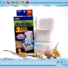 日本GEX 五味 培菌棉 生化珠 過濾器過濾版 3入裝 歷史價格詳細信息