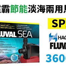 【北高雄】【出清免運】HAGEN 富濾霸節能造浪器CP3(200L)赫根 歷史價格詳細信息