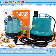 【魚店亂亂賣】UP水晶蝦專用飼料45g(沉底性)玫瑰蝦.大和藻蝦.觀賞蝦.螫蝦皆適用台灣UP雅柏E-227 歷史價格詳細信息