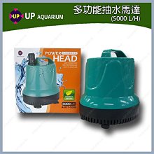 台北►►多彩水族◄◄雅柏 小螃蟹《滴流式 低水位過濾器 專用過濾棉》藍棉，內置 水中 過濾器 替換棉 兩棲 烏龜 魚缸 歷史價格詳細信息