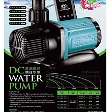 *海葵達人*台灣WHALE灰鯨 - B-24乾電池防水泵 乾電池空氣馬達 停電 打氣不斷電 = 附風管、氣泡石 歷史價格詳細信息