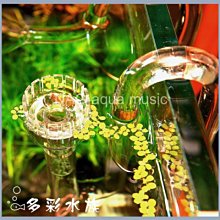 台北►►多彩水族◄◄《高透 玻璃CO2 監測器+測試液=套組》CO2測試_魚缸 二氧化碳_CO2 檢測_掛式 U形_水草 歷史價格詳細信息