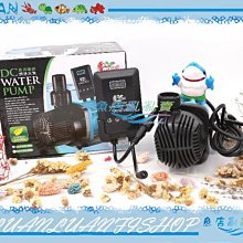 【魚店亂亂賣】Crab aqua低水位過濾器專用插卡棉2入(濾棉)角落過濾/烏龜過濾器F-002-L-F小螃蟹 歷史價格詳細信息