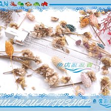 【魚店亂亂賣】森森CET-8000(可調水量)智能直流變頻沉水馬達8000L水陸馬達SUNSUN 歷史價格詳細信息