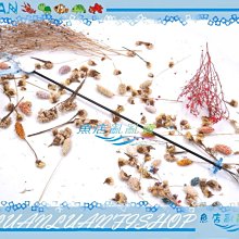 【魚店亂亂賣】森森CET-8000(可調水量)智能直流變頻沉水馬達8000L水陸馬達SUNSUN 歷史價格詳細信息