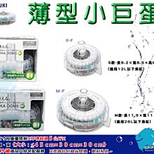 【Kotobuki 壽工藝】HYDRA 4625 烏龜兩棲爬蟲寵物箱 L(日式缸 鬆獅蜥 守宮 蛇 461x461x250mm) 歷史價格詳細信息