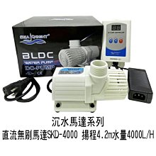 DC無刷馬達 sOlac SD-1000 高科技診斷錯誤自動停止運作 專業負離子吹風機 三款風嘴滿足各種髮型吹整 歷史價格詳細信息