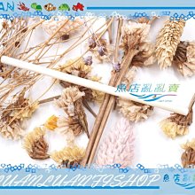 阿波羅 達力克古銅60吋吊扇+多燈組AP101C 歷史價格詳細信息