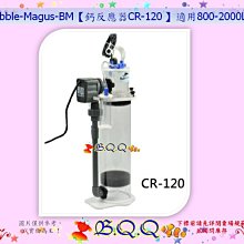【BUBBLE-MAGUS】BM-QQ2內置式蛋白除沫器100L FO/海葵/珊瑚 毛貓寵 歷史價格詳細信息