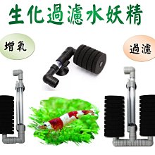 神速水球器(3束111個球) 歷史價格詳細信息