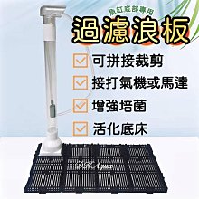 魚缸底濾板網格過濾板多功能底部隔板蛋分底板底濾缸濾材趟水墊板 歷史價格詳細信息