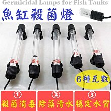 紫外線滅菌UV手機消毒器 語音播報飾品消毒機 多功能電子3C產品便攜可加香薰殺菌盒 USB充電化妝品美甲消毒盒 白色 歷史價格詳細信息